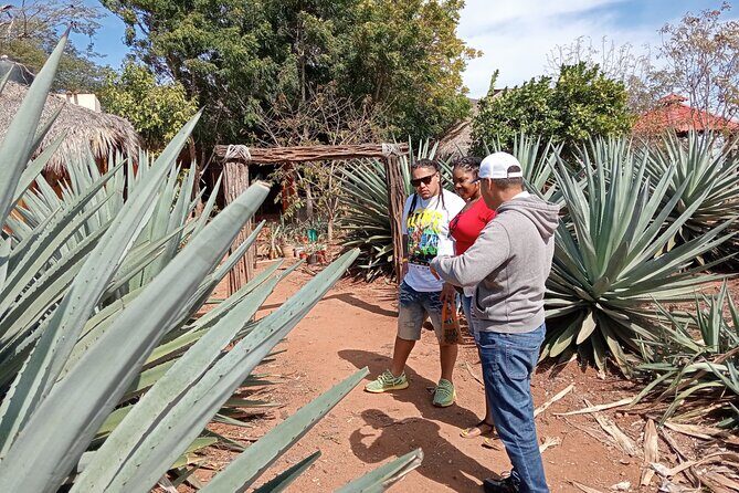Mezcal Food Tasting Tour with Lunch Included - Practical Details and Considerations