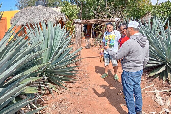 Mezcal Food Tasting Tour with Lunch Included - What Travelers Say