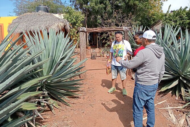 Mezcal Food Tasting Tour with Lunch Included - Who Will Love This Tour?