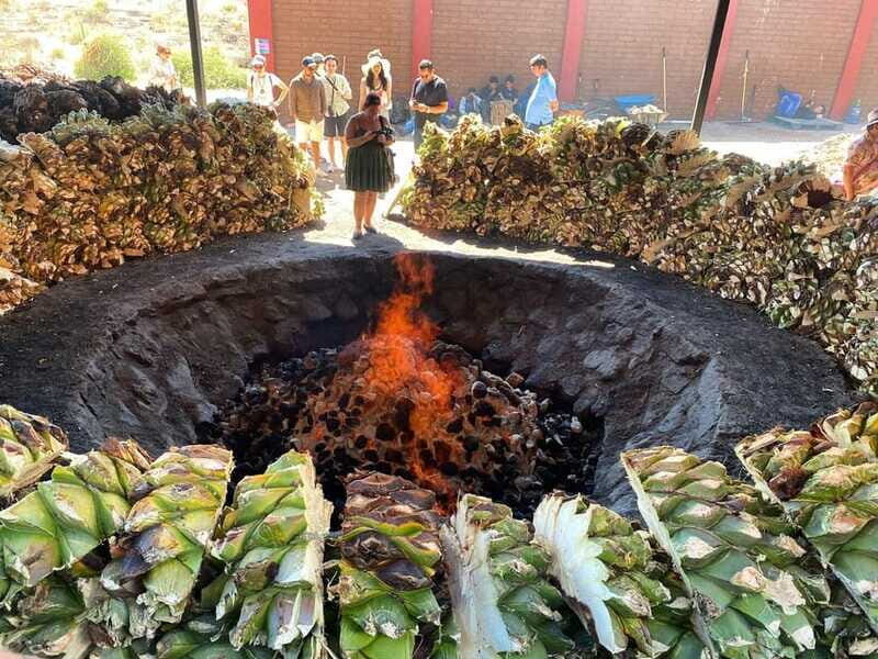Mezcal Tour Oaxaca - Frequently Asked Questions