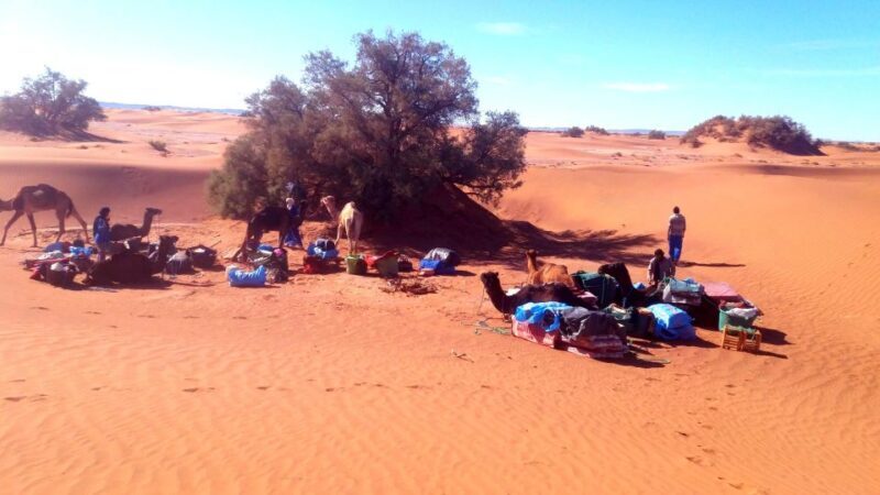 Mhamid: Experience the Route of old Caravans in the Sahara - An In-Depth Look at the Sahara Adventure