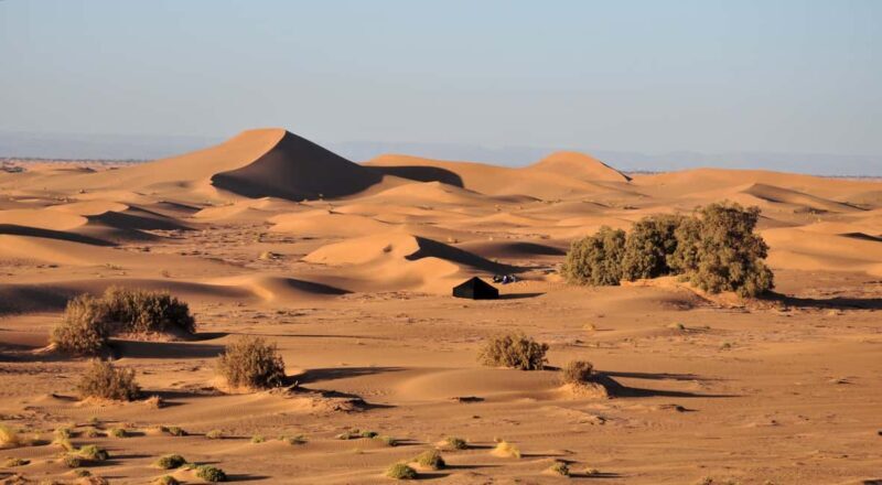 Mhamid: Experience the Route of old Caravans in the Sahara - The Sum Up