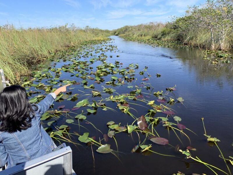 Miami: Alligator Spotting Airboat with Pick-Up/Drop-off - FAQ