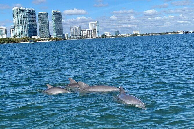 Miami: Aqua Excursion (Flyboard + Tubing + Boat Tour) - The Sum Up: The Right Choice for Active Water Enthusiasts