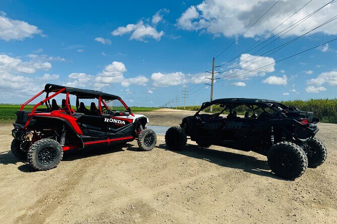 Miami ATV & Buggy Adventure- 5 Star Rated - Key Points