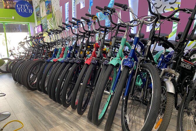 Miami Beach Art Deco Bike Tour - Who Would Love This Tour?