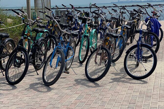 Miami Beach Bike Rentals - A Closer Look at the Experience