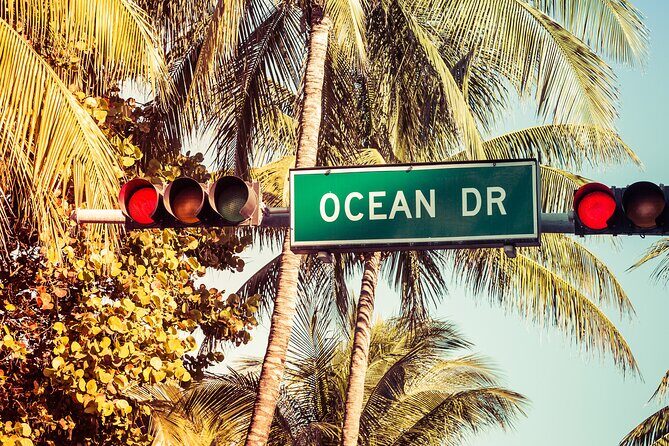 Miami Beach Eden Adventure - What the Reviews Say