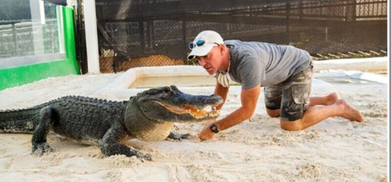 Miami Beach: Everglades Airboat Tours and Rides - Introduction