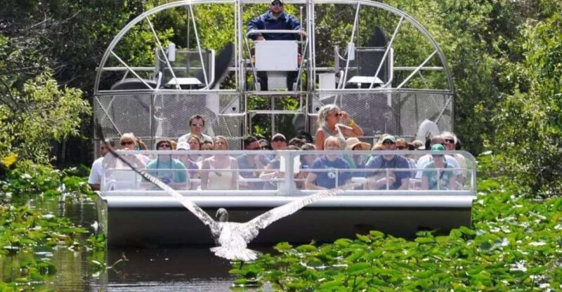 Miami Beach: Everglades Airboat Tours and Rides - Pricing and Value