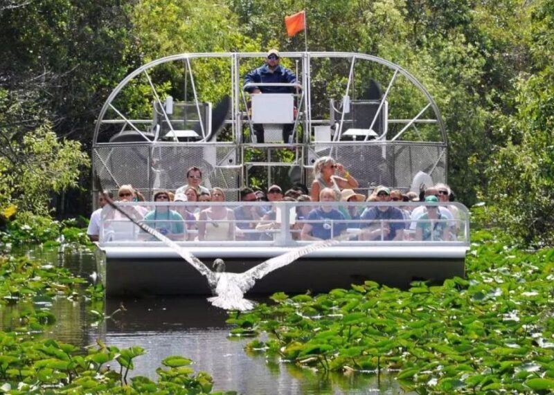 Miami Beach: Everglades Airboat Tours and Rides - Who Is This Tour Best For?