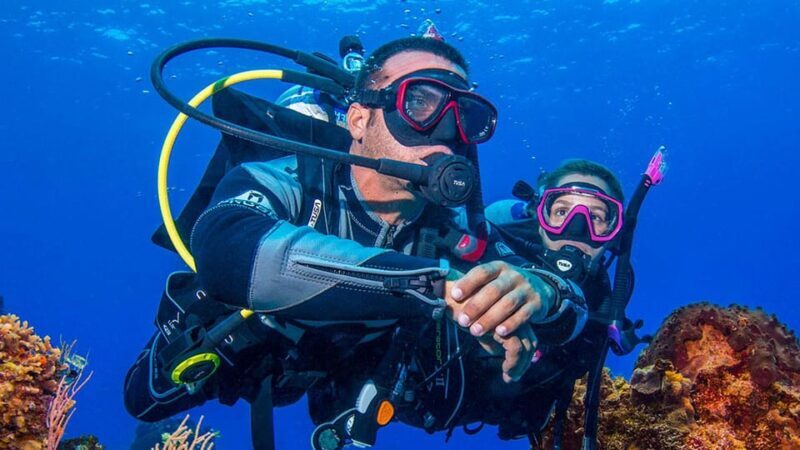 Miami Beach: Guided 2-Tank Reef and Wreck Dive Trip - Practical Considerations