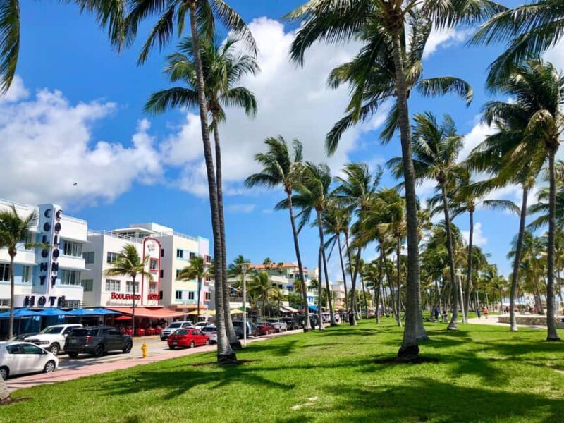 Miami Beach: Guided Tour with Expert Local Guide - What Is the Tour All About?
