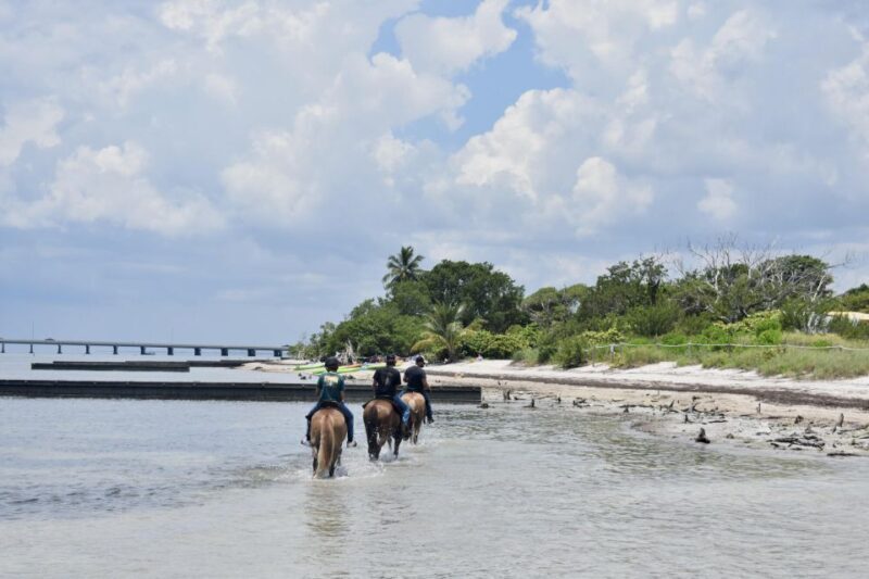 Miami: Beach Horse Ride & Nature Trail - A Closer Look at the Miami Beach Horse Ride & Nature Trail Experience