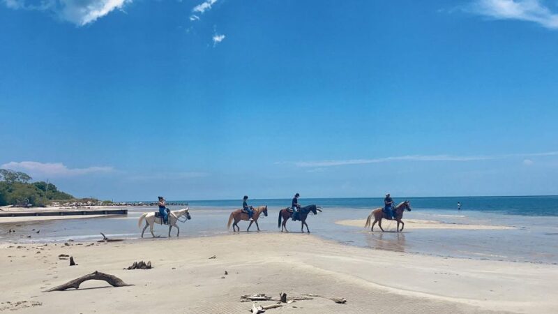 Miami: Beach Horse Ride & Nature Trail - Who Will Enjoy This Tour Most?