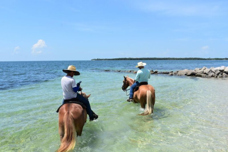Miami: Beach Horse Ride & Nature Trail - FAQ
