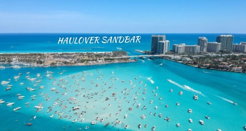 Miami Beach: Spectacular Sandbar & Skyline Boat Tour - Who Will Love This Tour?