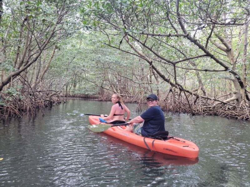 Miami: Beginner-Friendly Island Snorkeling by SUP or Kayak - What You Need to Know Before You Go
