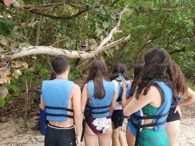 Miami: Beginner-Friendly Island Snorkeling by SUP or Kayak - Authentic Experiences and Honest Feedback