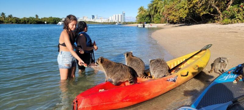 Miami: Beginner-Friendly Island Snorkeling by SUP or Kayak - Final Thoughts — Is This Tour for You?