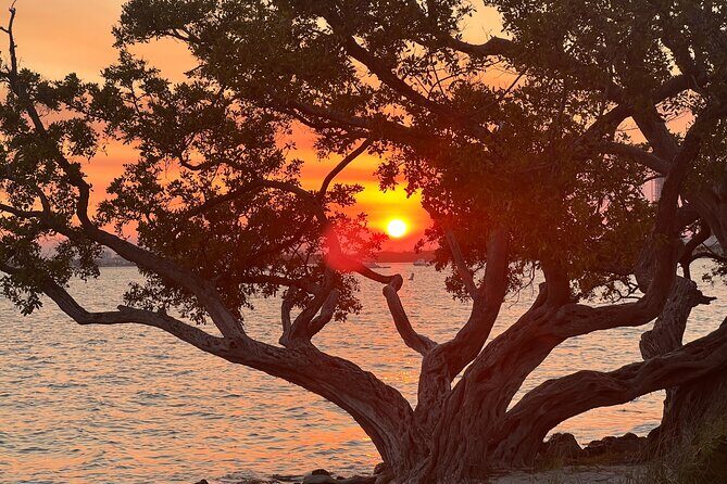 Miami Boat-Private boat Ride Tours with Experienced Captain - The Sum Up