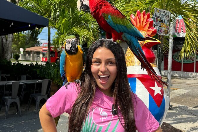 Miami Bus Tour - Flamingo Bus Miami Tours Open-Air Trolley - Who Should Consider This Tour?