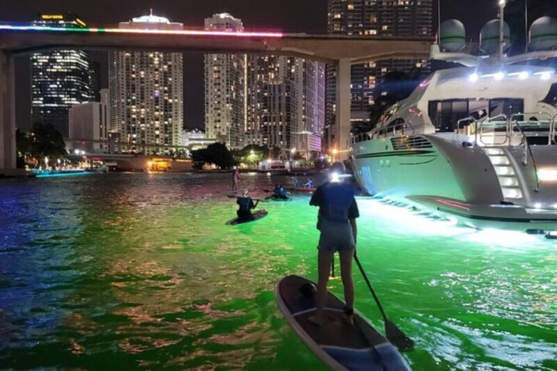 Miami: City Lights SUP or Kayak Night Tour - Who Should Consider This Tour?