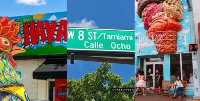 Miami: City Tour and Thriller Speedboat Adventure - Key Points