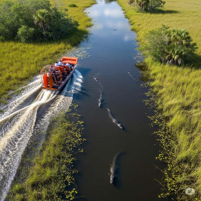 Miami: Everglades Airboat, Gator Experience with Transfer - The Sum Up