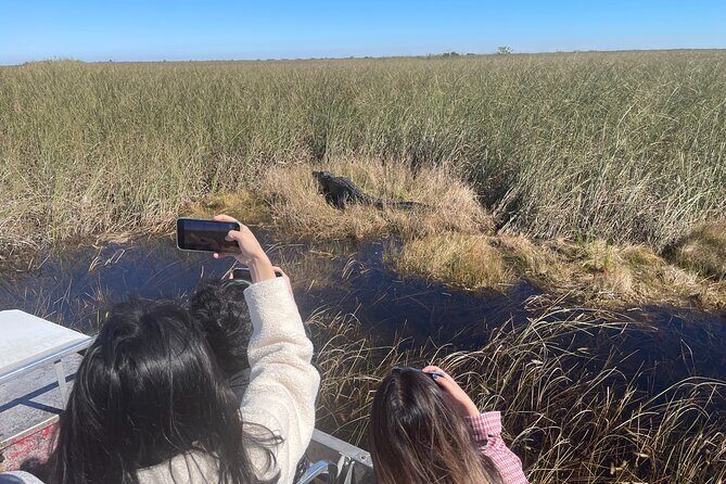 MIAMI: Everglades Airboat, Wildlife Gator Show and Photo - A Deep Dive Into the Everglades Tour Experience