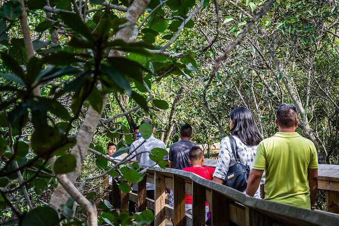 MIAMI: Everglades Airboat, Wildlife Gator Show and Photo - The Sum Up