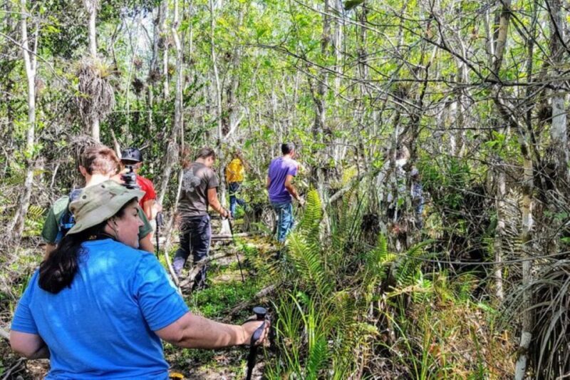 Miami: Everglades National Park Hiking and Kayaking Day Trip - Exploring the Everglades: A Full-Day Miami Adventure
