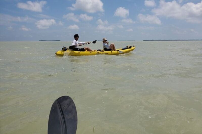 Miami: Everglades National Park Hiking and Kayaking Day Trip - The Value Proposition