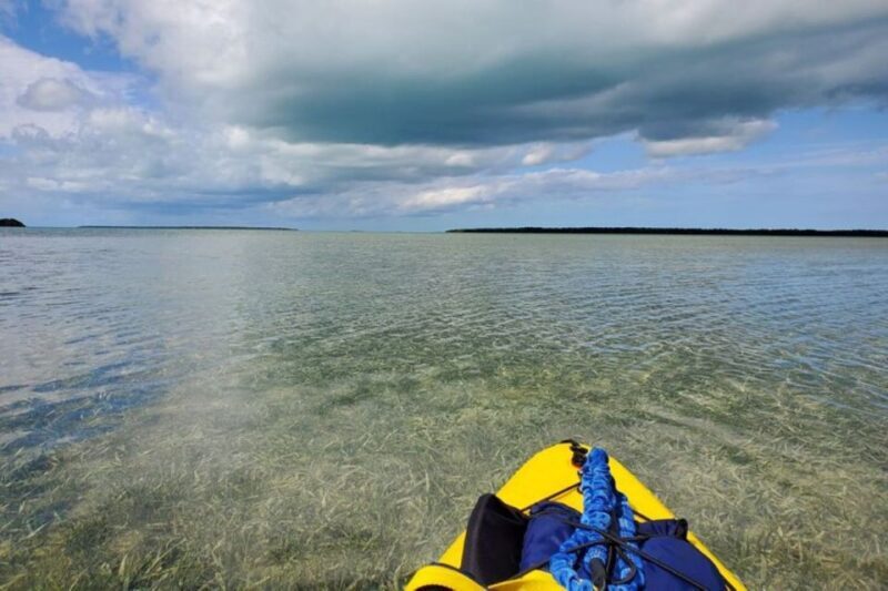 Miami: Everglades National Park Hiking and Kayaking Day Trip - Authentic Encounters: What Travelers Are Saying