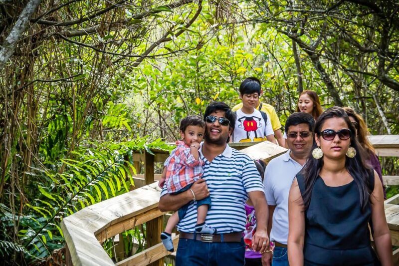 Miami: Everglades Safari Park Airboat Tour - Introduction: An Exciting Glimpse into the Everglades