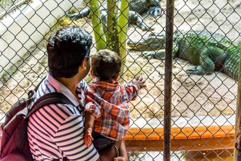 Miami: Everglades Safari Park Airboat Tour - Final Thoughts