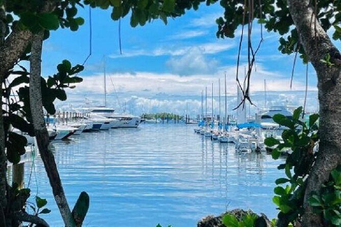 Miami Express Private Boat a 1- Hour Luxury Experience - Who Will Love This Tour?