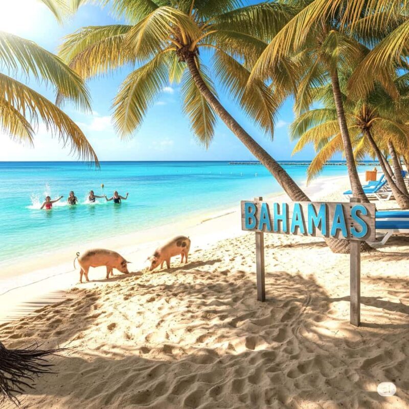 Miami/Ft Lauderdale: Bimini or Grand Bahama Day Trip - The Return Trip and Overall Duration