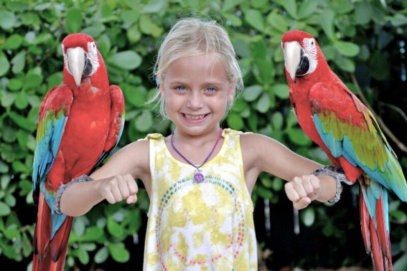 Miami: Go City All-Inclusive Pass with 30+ Attractions - Who Should Consider This Pass?