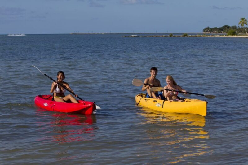Miami: Go City Explorer Pass - Choose 2 to 5 Attractions - Key Points