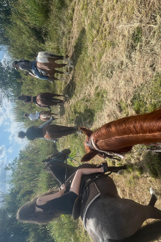 Miami: Guided Horseback Riding Tour - Introduction