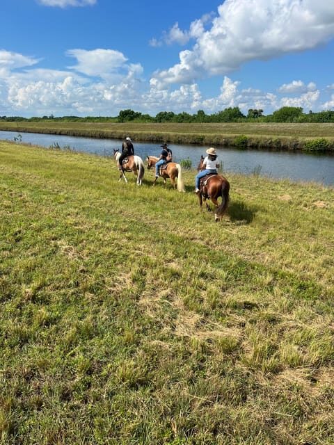 Miami: Guided Horseback Riding Tour - Accessibility and Considerations
