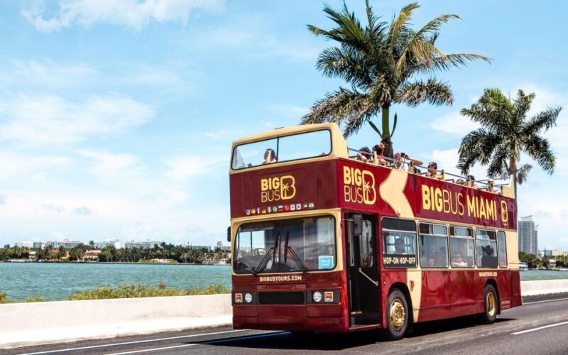 Miami: Hop-on Hop-off Open-top Bus Tour and Optional Cruise - Key Points