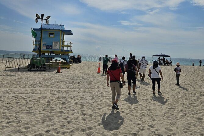 Miami Insider: Small Group City Tour with Optional Boat Cruise - Whats Included and Whats Not