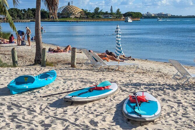 Miami Kayak and Paddleboard Rentals on Biscayne Bay - Key Points