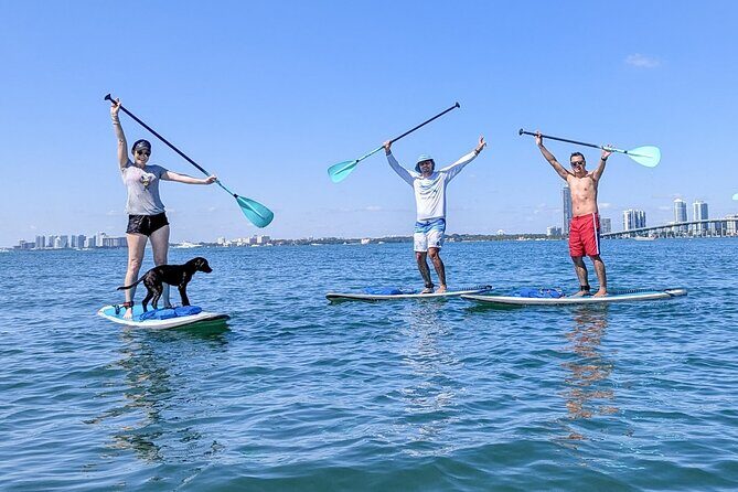 Miami Kayak and Paddleboard Rentals on Biscayne Bay - The Sum Up