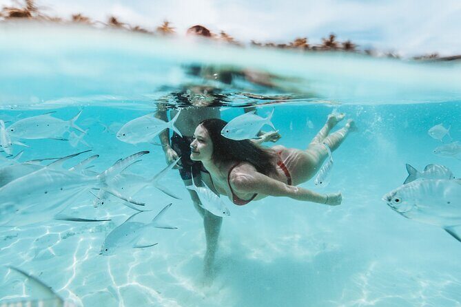 MIAMI: Key West Day Trip with Boating Options - FAQ