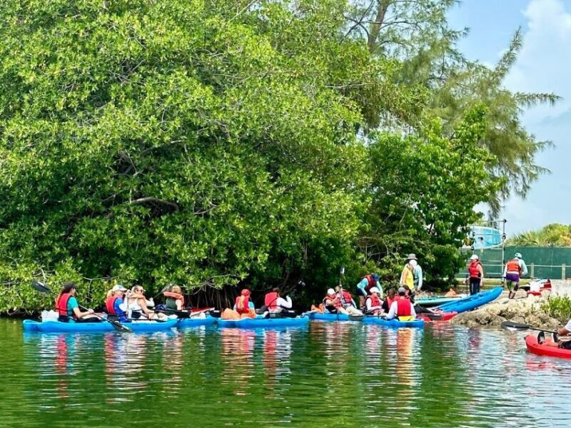 Miami: Manatee Season Paddleboard or Kayak Tour - Miami: Manatee Season Paddleboard or Kayak Tour — An In-Depth Look