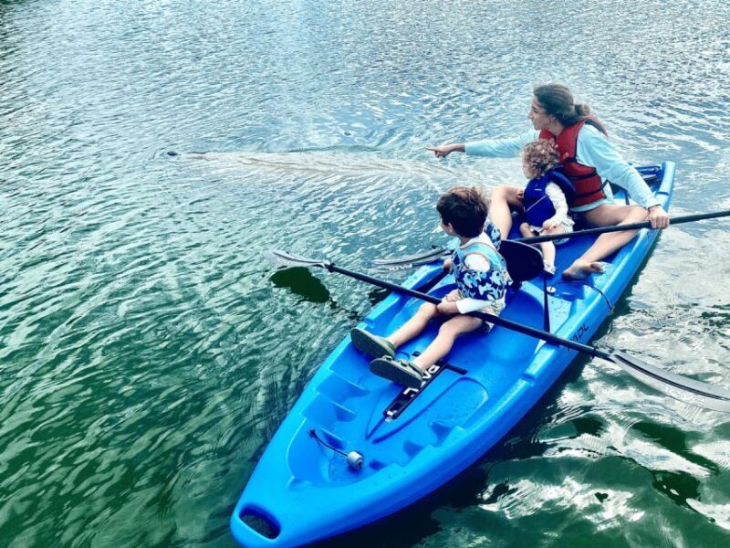 Miami: Manatee Season Paddleboard or Kayak Tour - What the Reviews Reveal