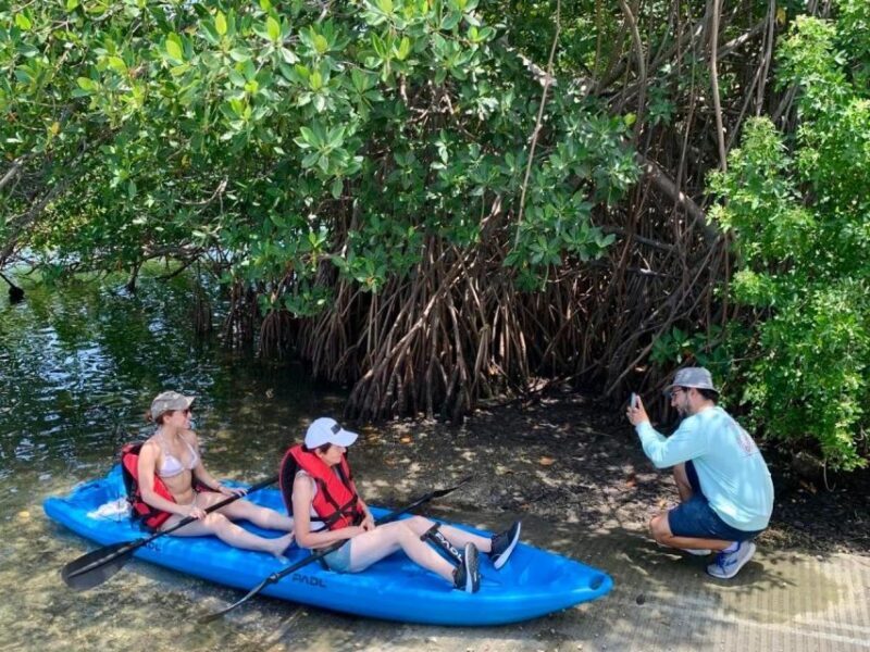 Miami: Manatee Season Paddleboard or Kayak Tour - Final Thoughts